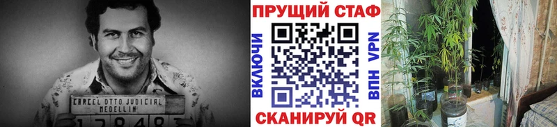 Названия наркотиков Томари ГАШ  Cocaine  Галлюциногенные грибы  Меф мяу мяу  APVP 