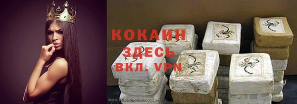 стафф Алзамай